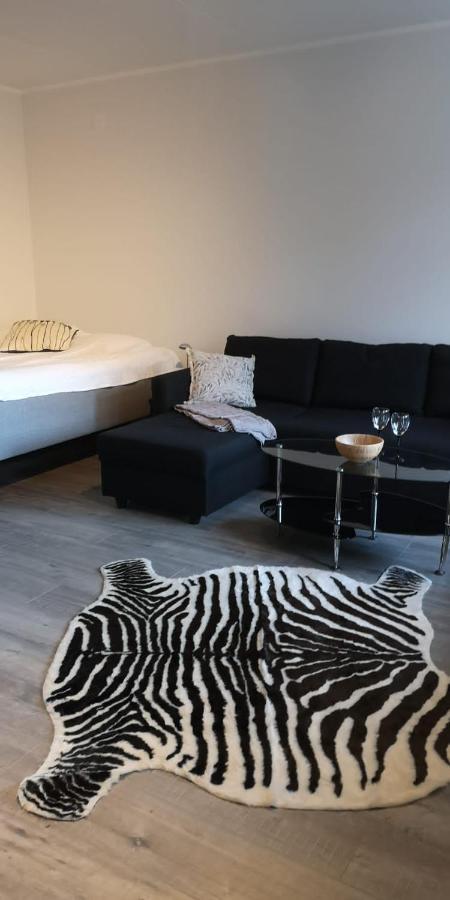 Cosy Studio Near By Airport, 2Min From Train! ヴァンター エクステリア 写真